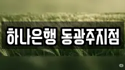 하나은행 동광주지점