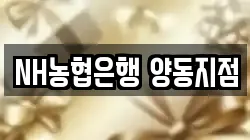 NH농협은행 양동지점