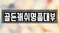 광주광역시 서구 덕흥동 전당포, 상품권판매, 상품권매매, 환전