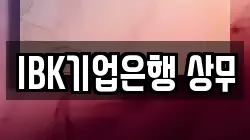 IBK기업은행 상무