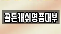 골든캐쉬명품대부