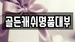 골든캐쉬명품대부