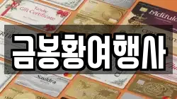 금봉황여행사