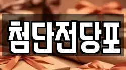 첨단전당포