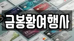 금봉황여행사