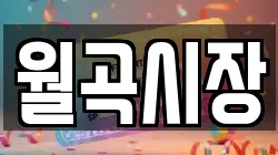 월곡시장