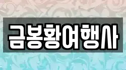 금봉황여행사