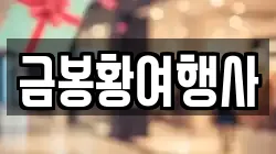 금봉황여행사