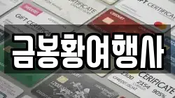 금봉황여행사