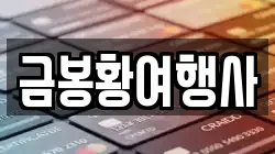 금봉황여행사