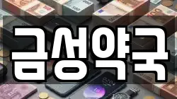금성약국