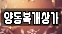 양동복개상가