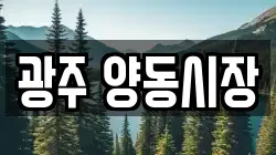 광주 양동시장