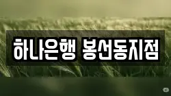 하나은행 봉선동지점