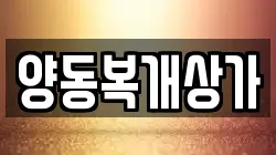 양동복개상가