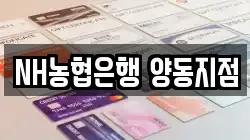 NH농협은행 양동지점