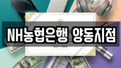 NH농협은행 양동지점