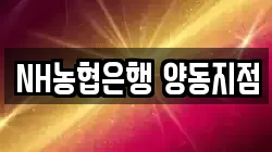 NH농협은행 양동지점