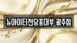 뉴아이티전당포대부 광주점