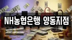 NH농협은행 양동지점