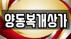 양동복개상가