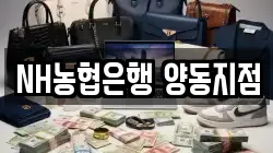 NH농협은행 양동지점