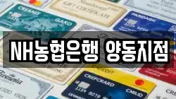 NH농협은행 양동지점