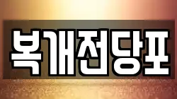 복개전당포