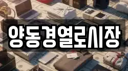 양동경열로시장