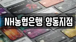 NH농협은행 양동지점