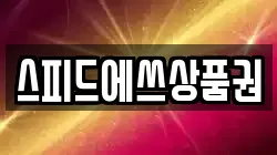 스피드에쓰상품권