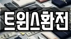 트윈스환전
