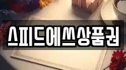 스피드에쓰상품권