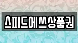 스피드에쓰상품권