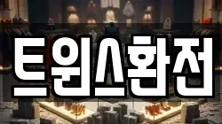 트윈스환전
