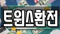 트윈스환전