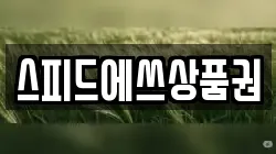스피드에쓰상품권