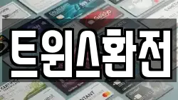 트윈스환전