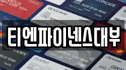 티엔파이넨스대부