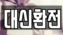 대신환전