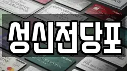 성신전당포