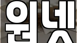 원넷