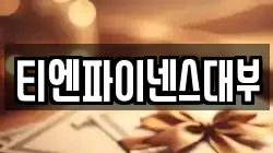티엔파이넨스대부