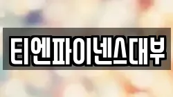 티엔파이넨스대부