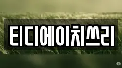 티디에이치쓰리