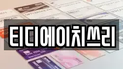 티디에이치쓰리