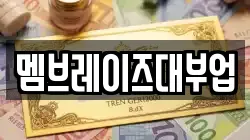 멤브레이즈대부업