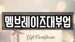 멤브레이즈대부업