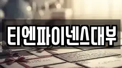 티엔파이넨스대부