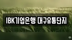 IBK기업은행 대구유통단지